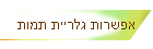 אפשרות גלריית תמות